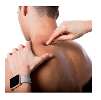 IASTM Massage Tool Wheeler | Instrument Assisted Soft Tissue Release
